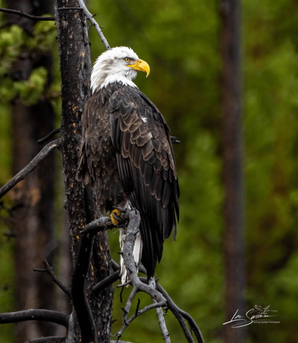 IMG_8298-Edit